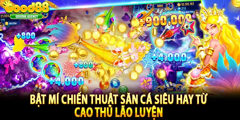 Bật mí chiến thuật săn cá siêu hay từ cao thủ lão luyện 